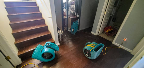 Best Flooded house restoration  in Ellisburg, NJ