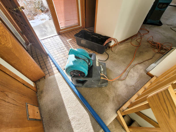 Best Professional water damage repair  in Ellisburg, NJ