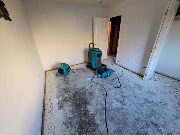 Best Local water damage restoration  in Ellisburg, NJ