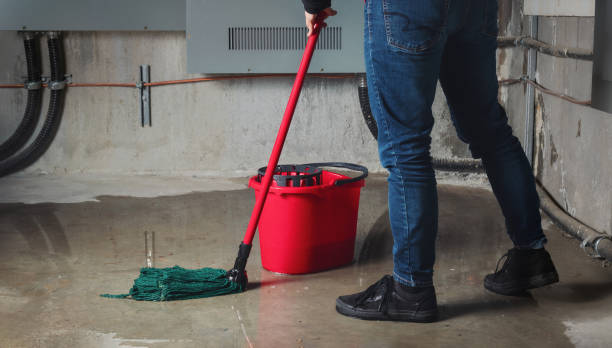 Local water damage restoration in Ellisburg, NJ