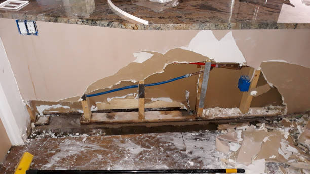 Best Water damage cleanup near me  in Ellisburg, NJ