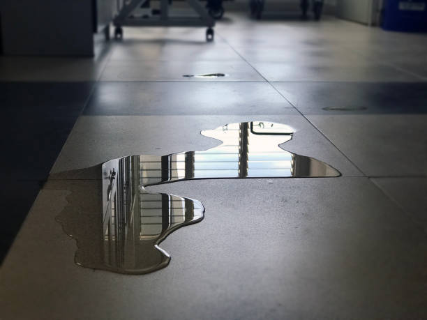 Best Water damage restoration near me  in Ellisburg, NJ