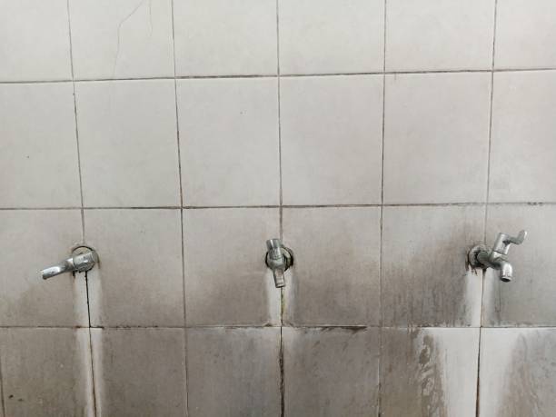 Professional Water damage restoration in Ellisburg, NJ