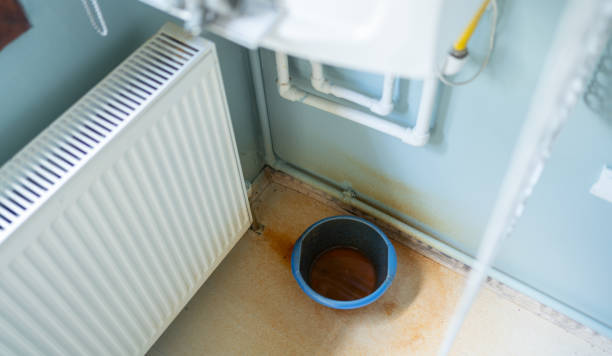 Best Local water damage restoration  in Ellisburg, NJ