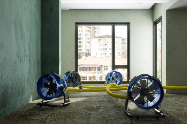 Best Ceiling water damage repair  in Ellisburg, NJ